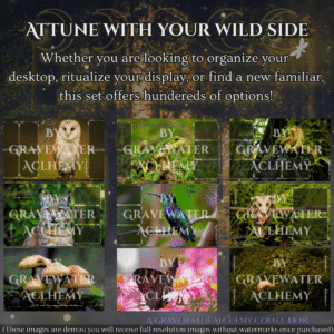 The Woodland Ways - Premium Desktop Wallpaper Collection