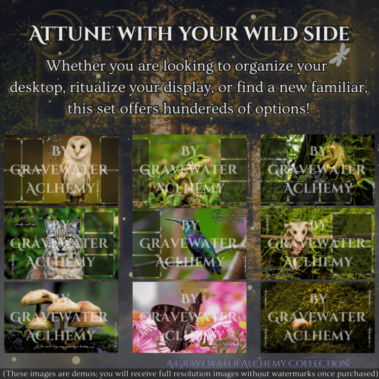 The Woodland Ways – Premium Desktop Wallpaper Collection