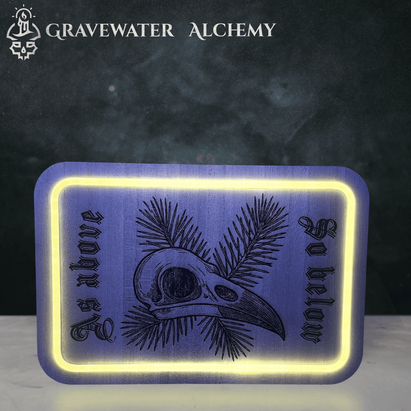 illuminated bird skull engraved wooden plaque with soft LED border